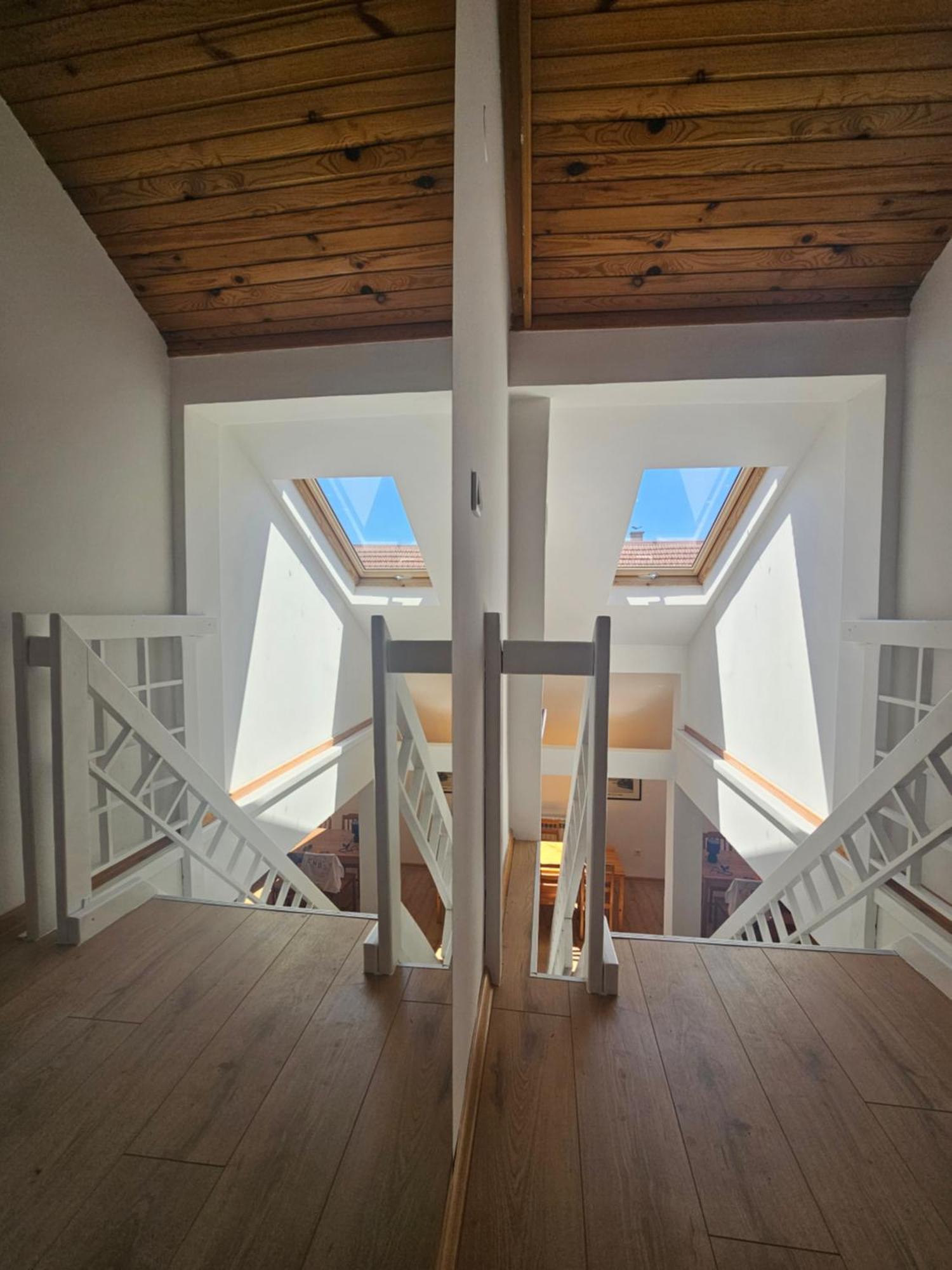 Leopold Chillout Hostel SJJ Exterior foto